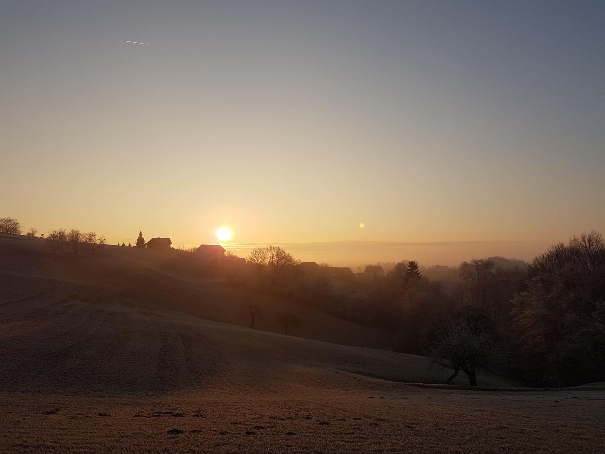 Am Trausdorfberg - Rosenblick * Goggitsch in Steiermark