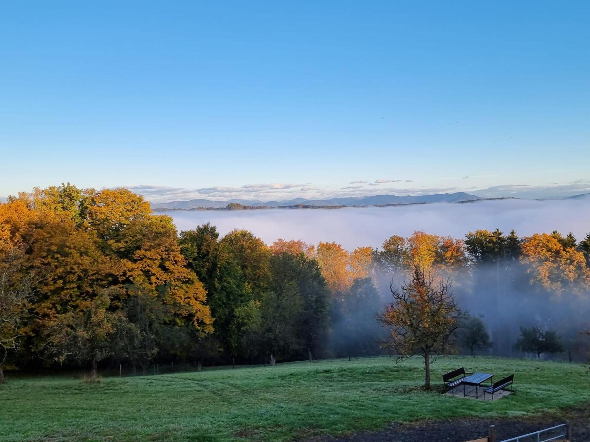Am Trausdorfberg - Rosenblick Apartment Goggitsch in Steiermark