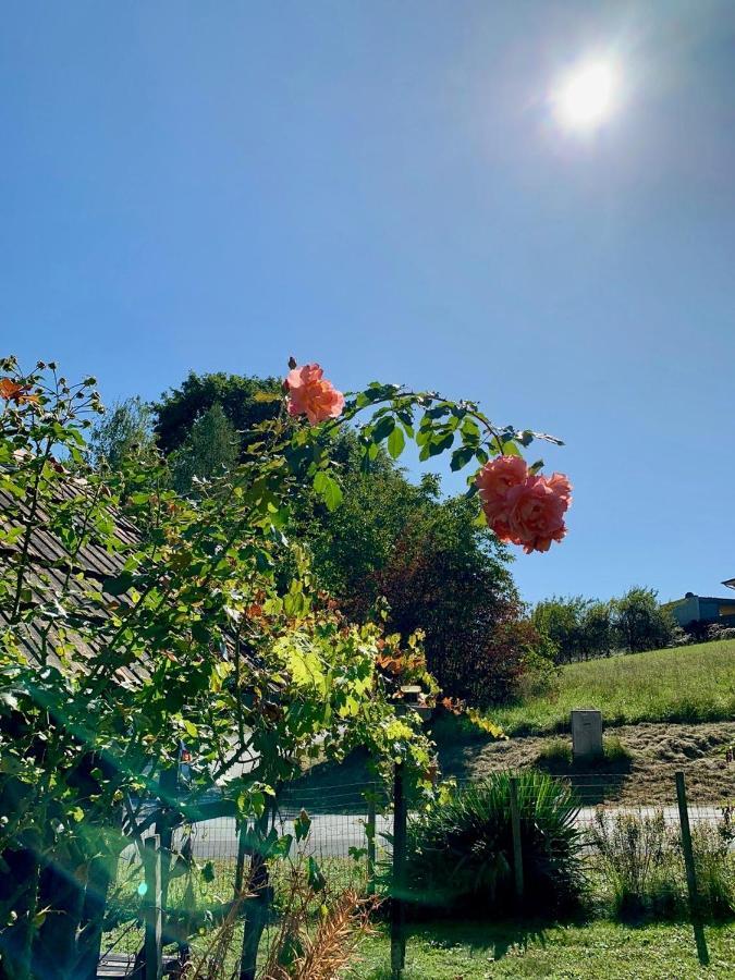 Am Trausdorfberg - Rosenblick Goggitsch in Steiermark